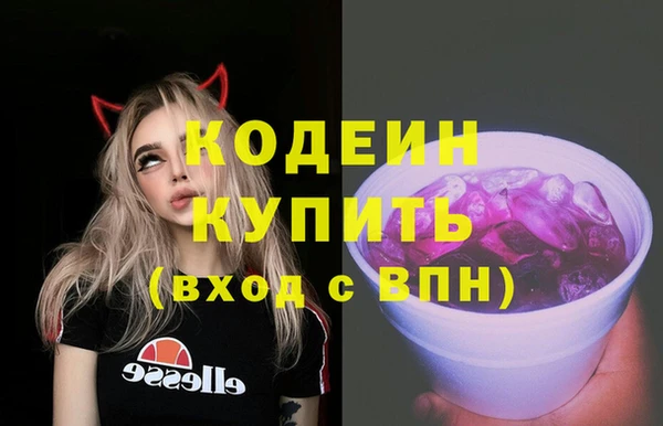 шишки Белокуриха