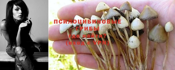 mdpv Заволжск