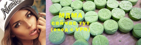 индика Козловка