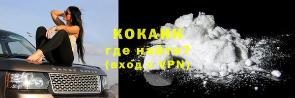 шишки Белокуриха