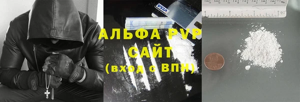 шишки Белокуриха