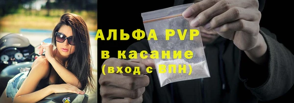 шишки Белокуриха