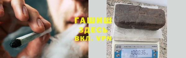 шишки Белокуриха