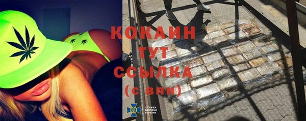 шишки Белокуриха