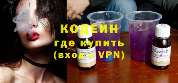 шишки Белокуриха
