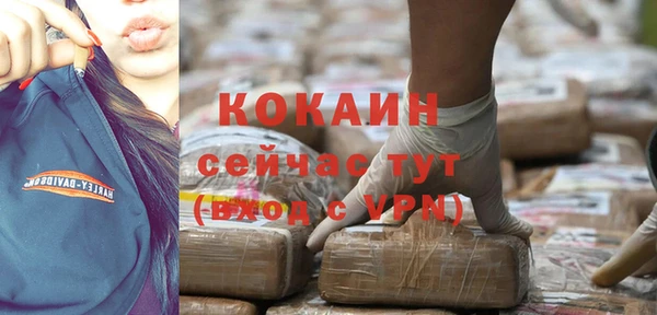 шишки Белокуриха