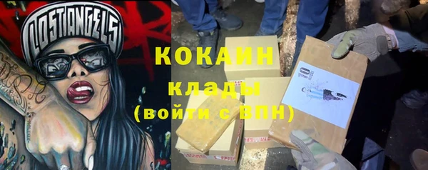 шишки Белокуриха