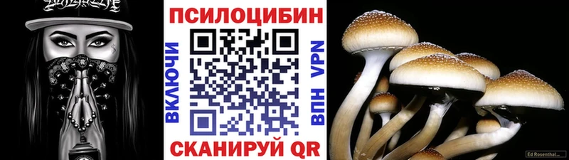 нарко площадка какой сайт  Высоковск  Галлюциногенные грибы Psilocybe 
